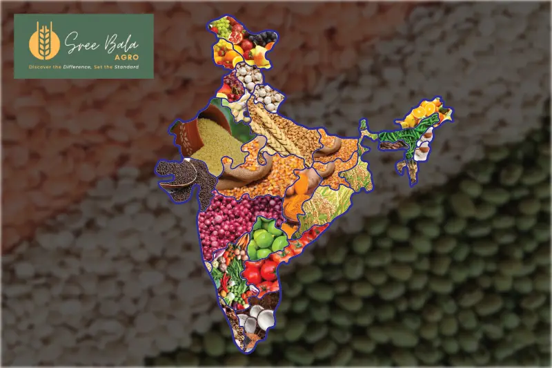 Sree-Bala-Agro-Indian-Map-V2